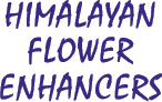 Himalayan Flower Enhancers