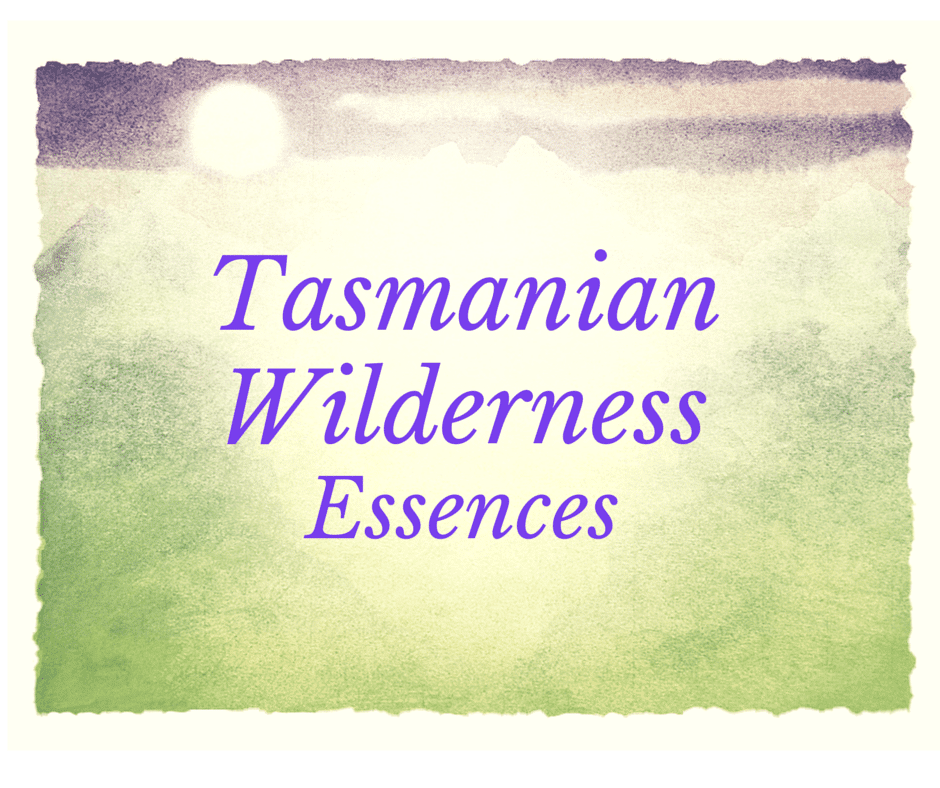 Tasmanian Wilderness Essences