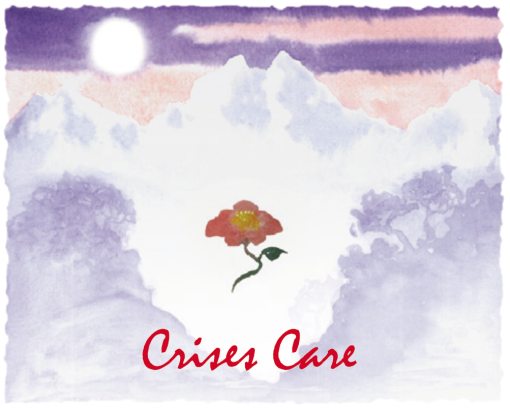Crises Care